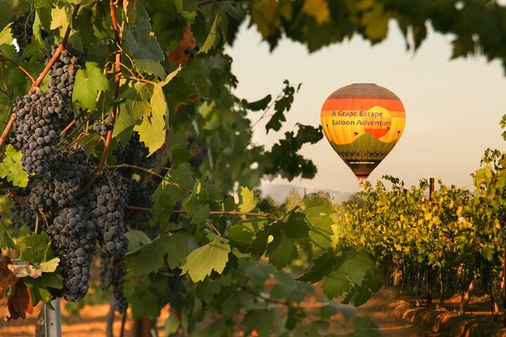 Sunrise Hot Air Balloon Flight over the Temecula Wine Country - Photo 1 of 6